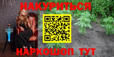 сатива Обнинск