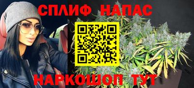 сатива Обнинск
