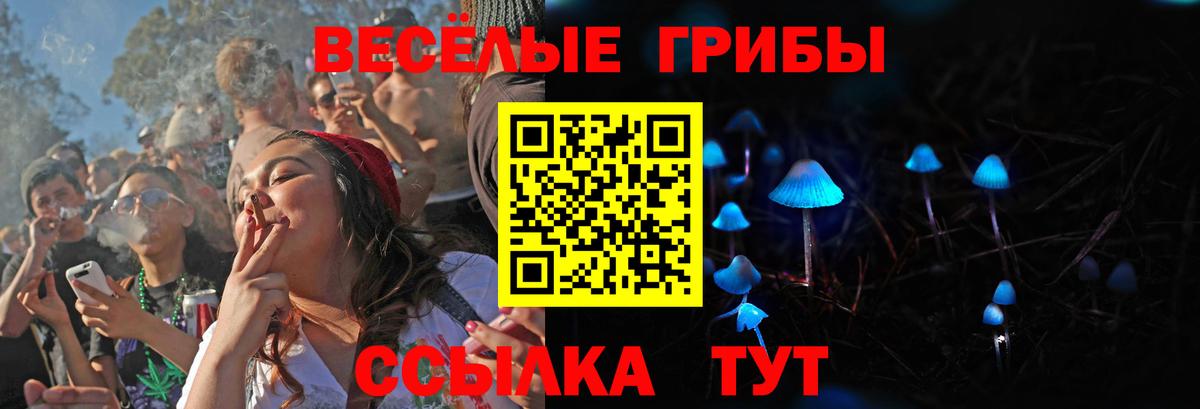 Галлюциногенные грибы GOLDEN TEACHER  Вход с VPN  Обь 